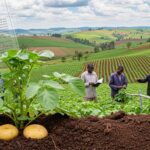 Could Plant Science Courses in Africa Better Respond to the Changing World?